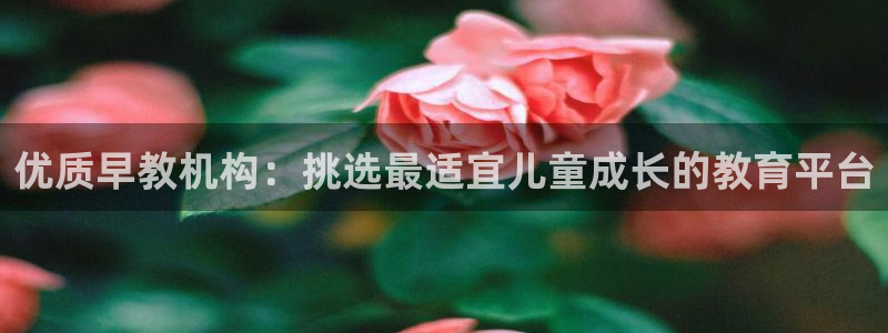 恒行彩票亏5千：优质早教机构：挑选最适宜儿童成长的教育平台