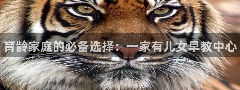 恒在5行中代表什么数字：育龄家庭的必备选择：一家有儿女早教中心