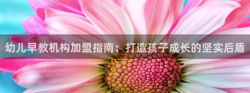 恒行娱乐郑74OOO5：幼儿早教机构加盟指南：打造孩子成长的坚实后盾
