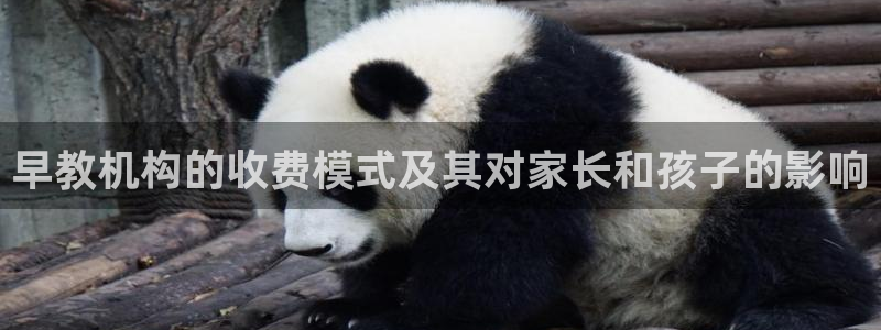 恒行2卫74OOO5：早教机构的收费模式及其对家长和孩子的影响