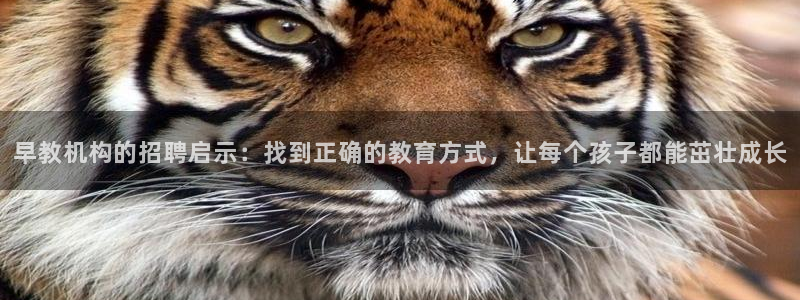 恒行开户全2O5o5O：早教机构的招聘启示：找到正确的教育方式，让每个孩子都能茁