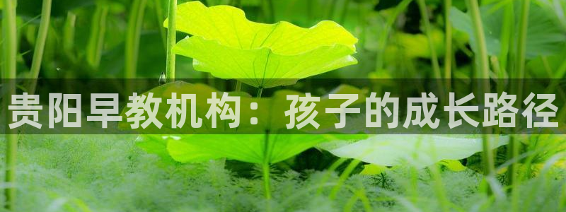 恒行2杨74OOO5：贵阳早教机构：孩子的成长路径