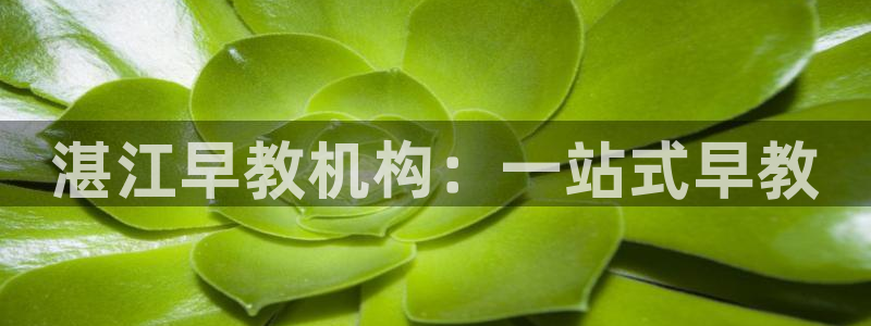 恒行娱乐度74ooo5聘霖：湛江早教机构：一站式早教