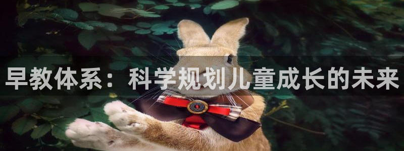 恒在5行中代表什么数字：早教体系：科学规划儿童成长的未来