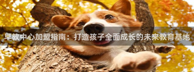 恒行主管招收 6ll5l出奇：早教中心加盟指南：打造孩子全面成长的未来教育基地