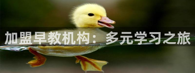 恒行2沈74OOO5：加盟早教机构：多元学习之旅