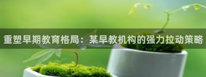 恒行娱乐蒋74OOO5：重塑早期教育格局：某早教机构的强力拉动策略