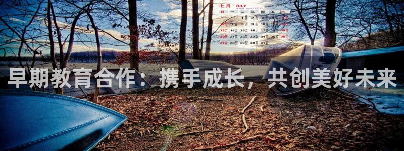 恒行2朱74OOO5：早期教育合作：携手成长，共创美好未来