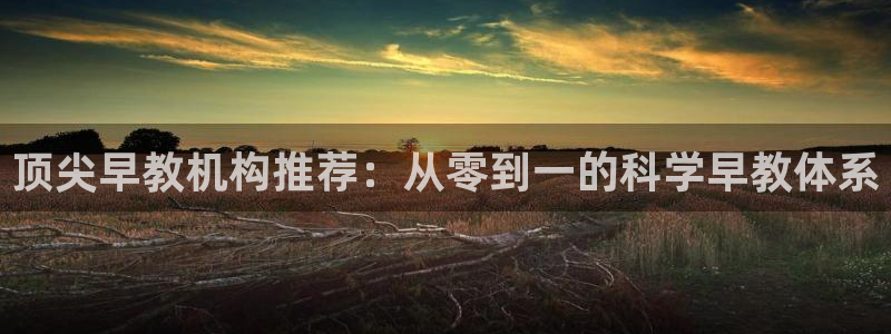 恒行3乃5O6917：顶尖早教机构推荐：从零到一的科学早教体系