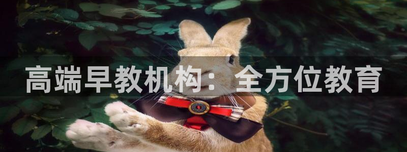 恒行3乃5O6917：高端早教机构：全方位教育