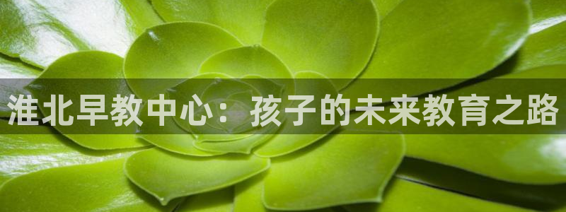 恒行主管首问6ll5l：淮北早教中心：孩子的未来教育之路