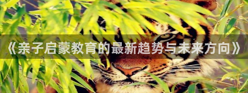 恒行娱乐吴74OOO5：《亲子启蒙教育的最新趋势与未来方向》