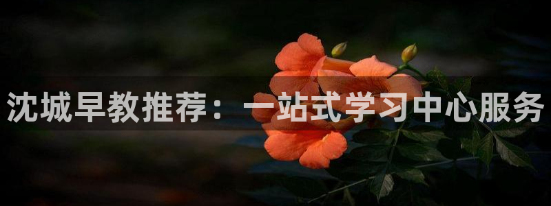 恒行2郑74OOO5:沈城早教推荐:一站式学习中心服务