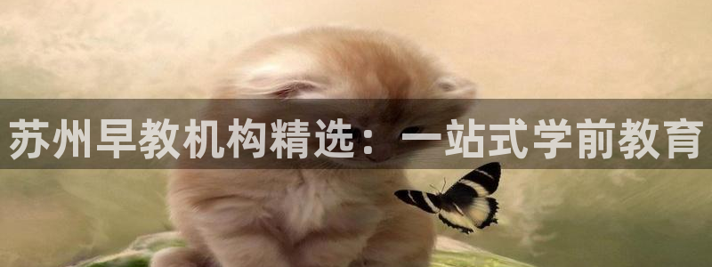 恒行2郑74OOO5：苏州早教机构精选：一站式学前教育