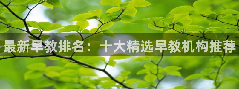 恒行2尤74OOO5:最新早教排名:十大精选早教机构推荐
