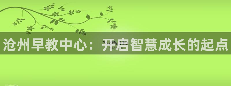 恒行娱乐5ll533主管正直:沧州早教中心:开启智慧成长的起点