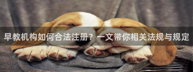 恒行2下74OO5：早教机构如何合法注册？一文带你相关法规与规定