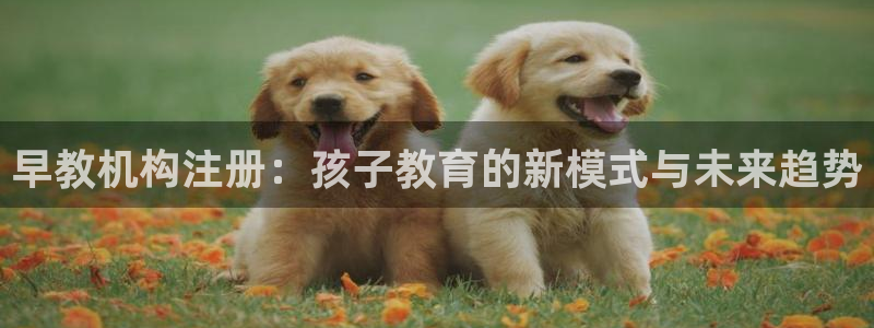 恒行2杨74OOO5：早教机构注册：孩子教育的新模式与未来趋势