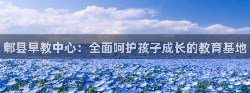 恒行2王74OOO5：郫县早教中心：全面呵护孩子成长的教育基地