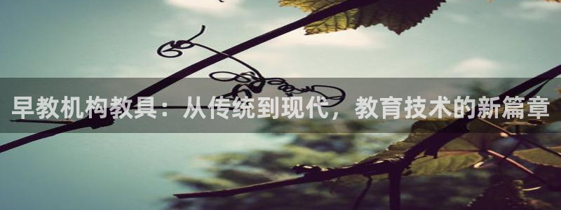 恒行娱乐5ll533主管优雅：早教机构教具：从传统到现代，教育技术的新篇章