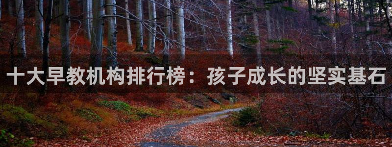 恒行2陈74OOO5：十大早教机构排行榜：孩子成长的坚实基石