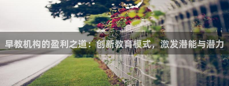恒行娱乐吕74OOO5：早教机构的盈利之道：创新教育模式，激发潜能与潜力
