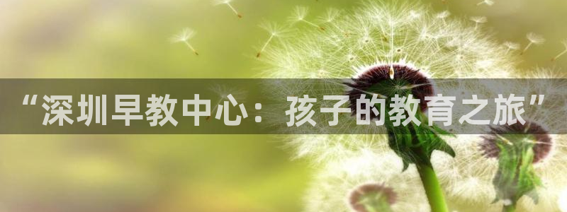恒行2褚74OOO5：“深圳早教中心：孩子的教育之旅”