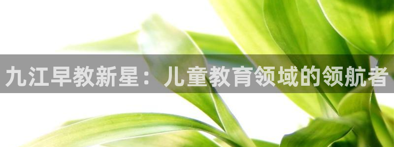 恒行娱乐掏沂74ooo5弛：九江早教新星：儿童教育领域的领航者