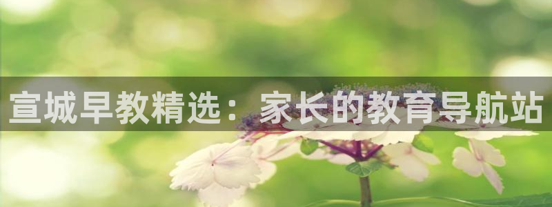 恒行娱乐周74OOO5：宣城早教精选：家长的教育导航站