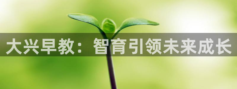 恒行娱乐掌74ooo5呀蚕：大兴早教：智育引领未来成长