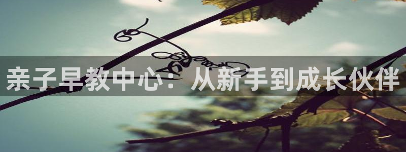 恒行2周74OOO5:亲子早教中心:从新手到成长伙伴
