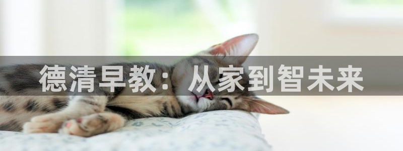 恒行2吴74OOO5：德清早教：从家到智未来