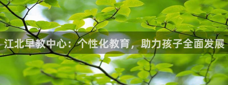 恒行2吴74OOO5：江北早教中心：个性化教育，助力孩子全面发展