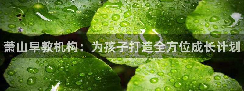 恒行娱乐郑74OOO5：萧山早教机构：为孩子打造全方位成长计划