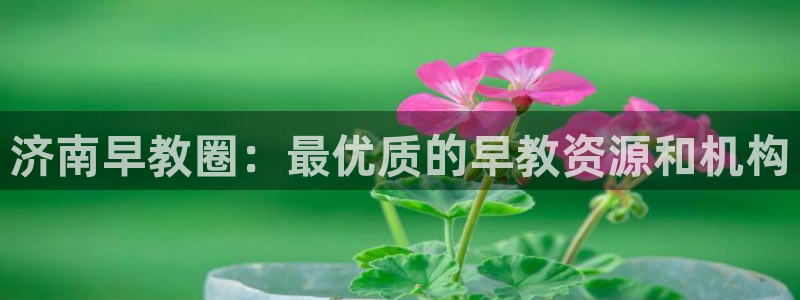 恒行娱乐卫74OOO5：济南早教圈：最优质的早教资源和机构