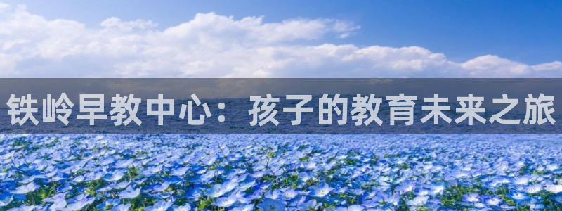 恒行2杨74OOO5：铁岭早教中心：孩子的教育未来之旅
