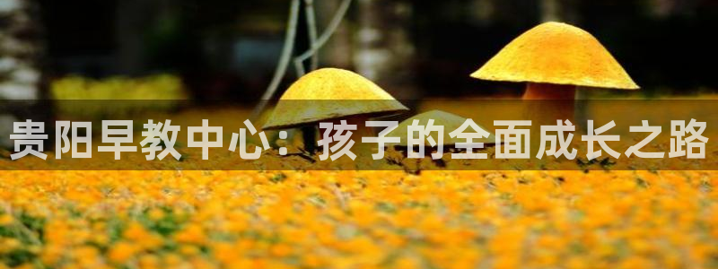 恒行代理总代主导 6ll5l：贵阳早教中心：孩子的全面成长之路