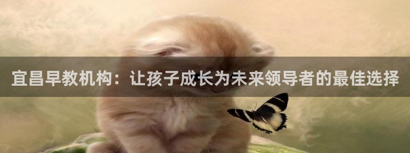 恒行注册全2O5O5O：宜昌早教机构：让孩子成长为未来领导者的最佳选择