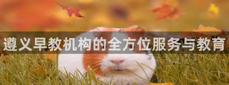 恒行娱乐度74ooo5聘霖：遵义早教机构的全方位服务与教育