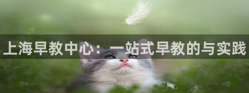 恒行2那74OOO5：上海早教中心：一站式早教的与实践
