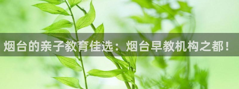 恒行主管总代6ll5l周至：烟台的亲子教育佳选：烟台早教机构之都！