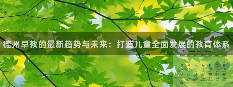 恒行娱乐登录信用 74ooo5：德州早教的最新趋势与未来：打造儿童全面发展的教育