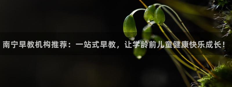 恒行娱乐招收点赞5ll533主管：南宁早教机构推荐：一站式早教，让学龄前儿童健康
