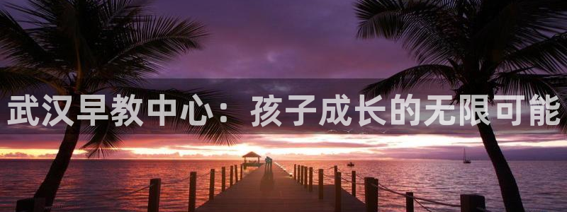 恒行娱乐度74ooo5聘霖:武汉早教中心:孩子成长的无限可能