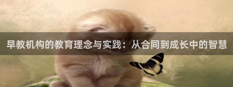 恒行娱乐陈74OOO5：早教机构的教育理念与实践：从合同到成长中的智慧