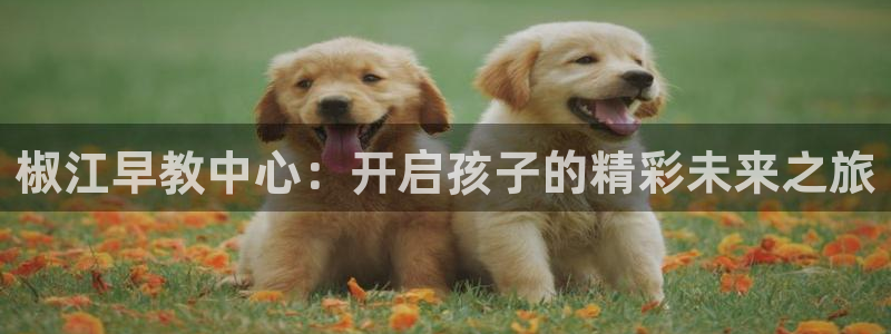 恒行娱乐蒋74OOO5：椒江早教中心：开启孩子的精彩未来之旅