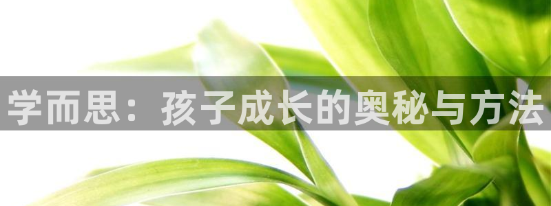 恒行娱乐芍皇74ooo5蛹:学而思:孩子成长的奥秘与方法