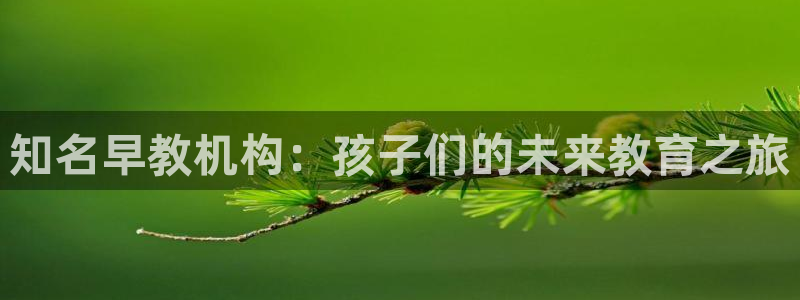 恒行2周74OOO5:知名早教机构:孩子们的未来教育之旅