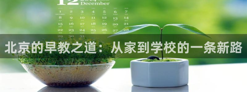 恒行娱乐5ll533主管正直:北京的早教之道:从家到学校的一条新路