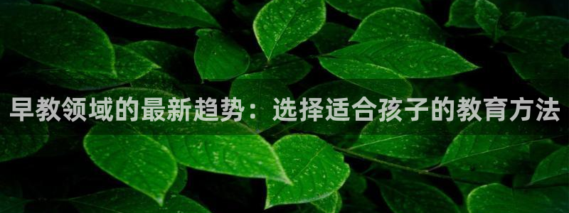 恒行2乃5O6917：早教领域的最新趋势：选择适合孩子的教育方法